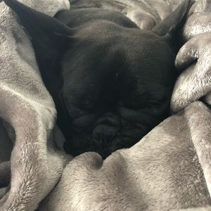 Meet your Posher, James